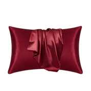 NuSilk® Silk Pillow Case