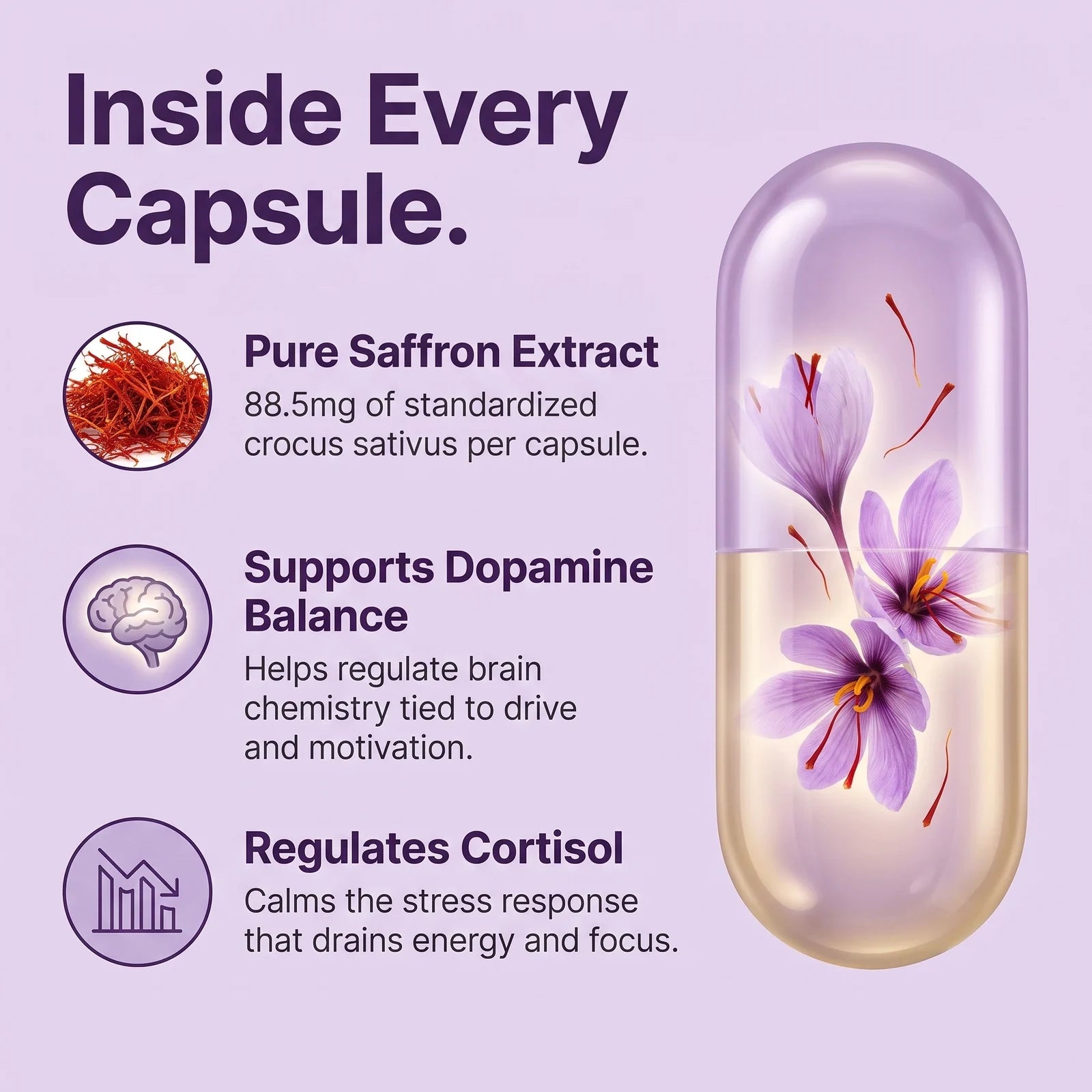 Anti-Cellulite Oil + Massager Kit 4